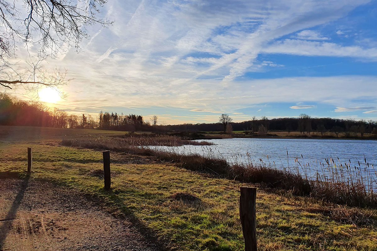 Landschaftspflege-Naturschutz